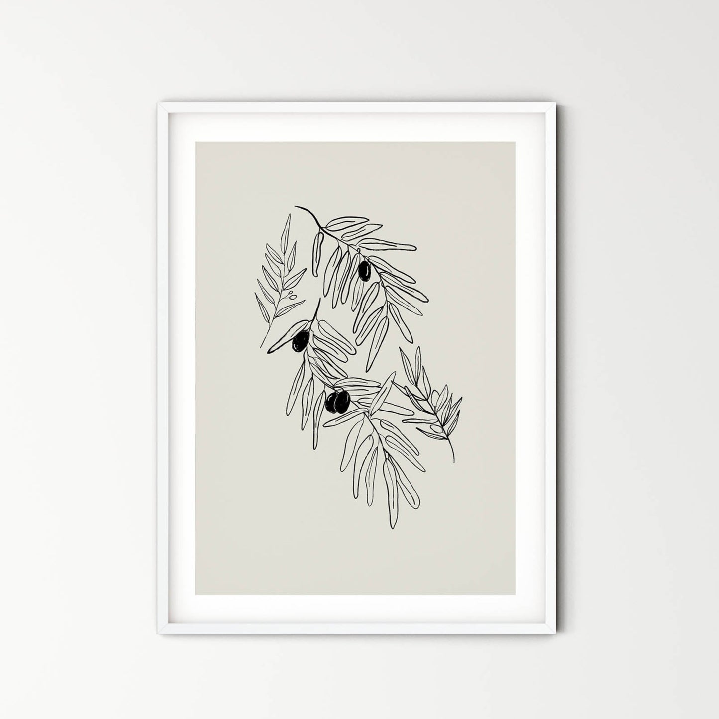 Olive branches - peace and friendship