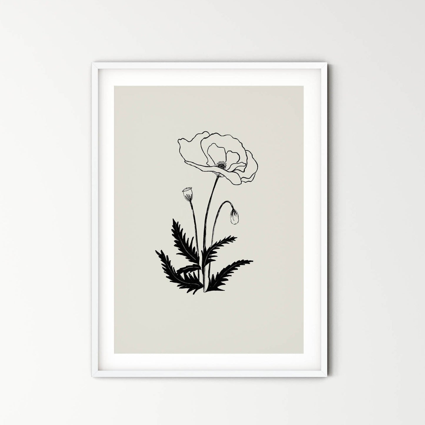 Poppy - beauty, magic, humility, fertility