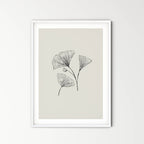 Ginkgo - hope, peace and long life