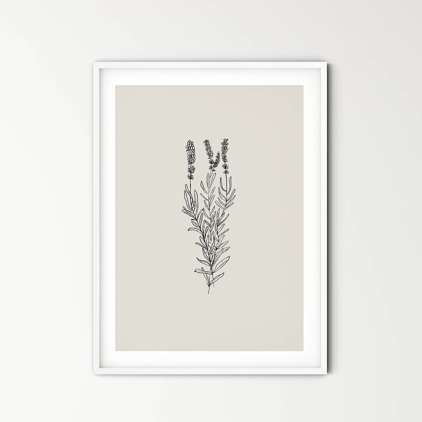 Lavanda - purity, serenity, grace and calmness