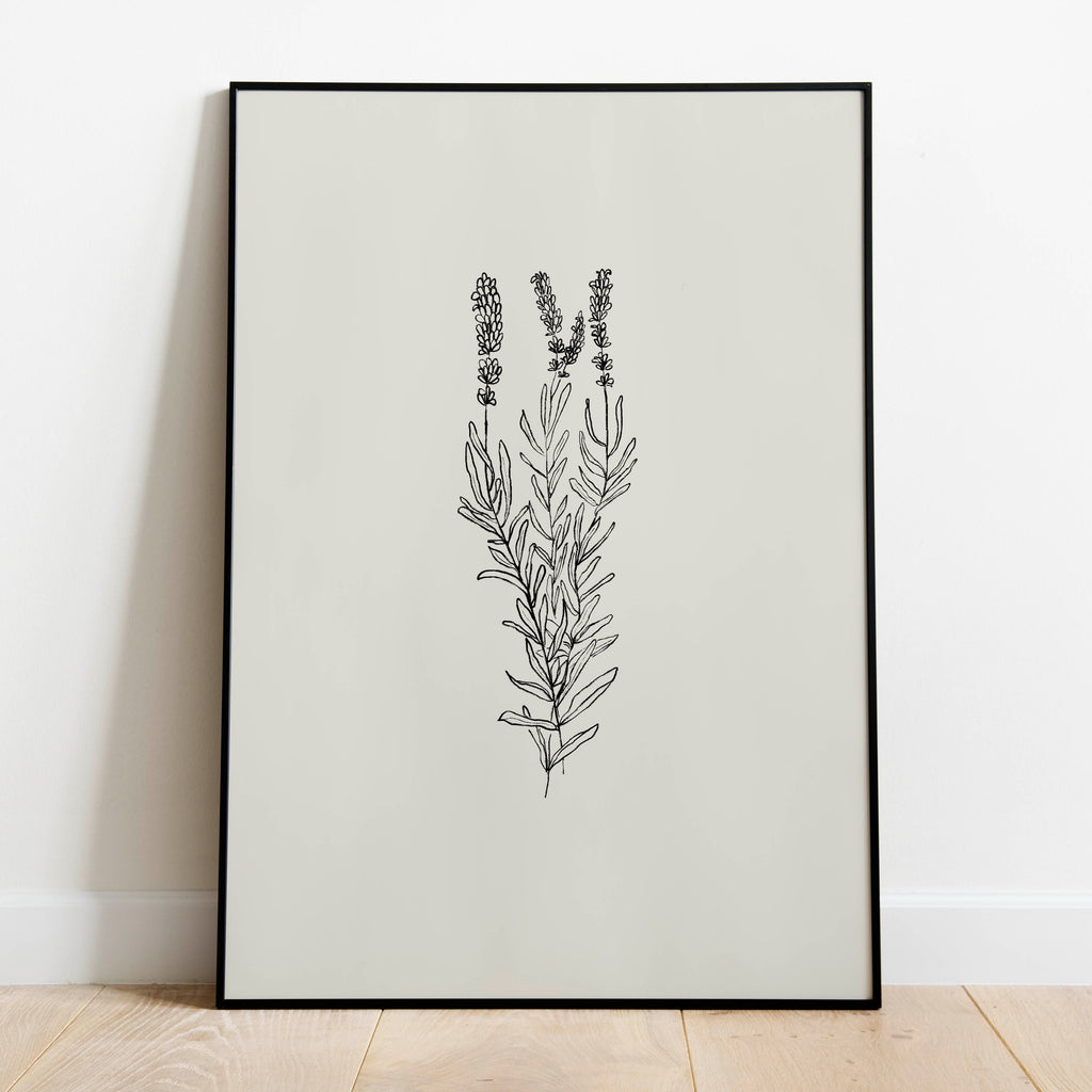 Lavanda - purity, serenity, grace and calmness
