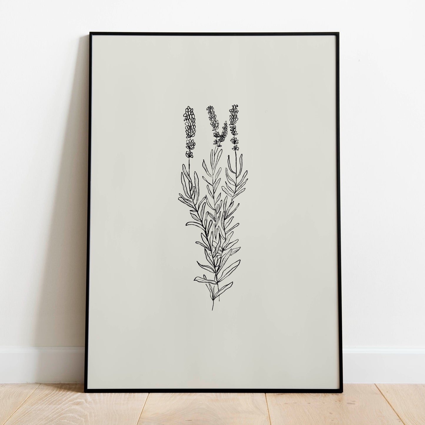 Lavanda - purity, serenity, grace and calmness