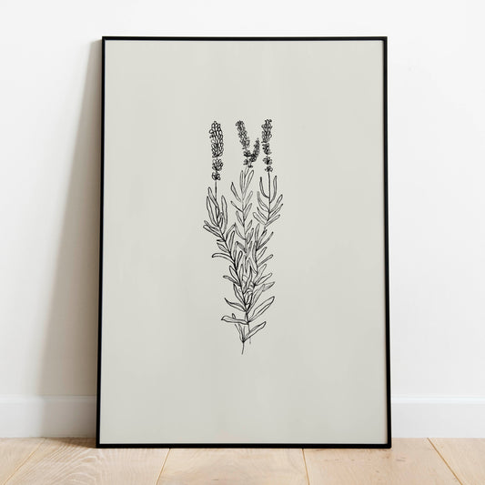 Lavanda - purity, serenity, grace and calmness