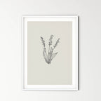Lily of the valley - purity, joy, love, sincerity