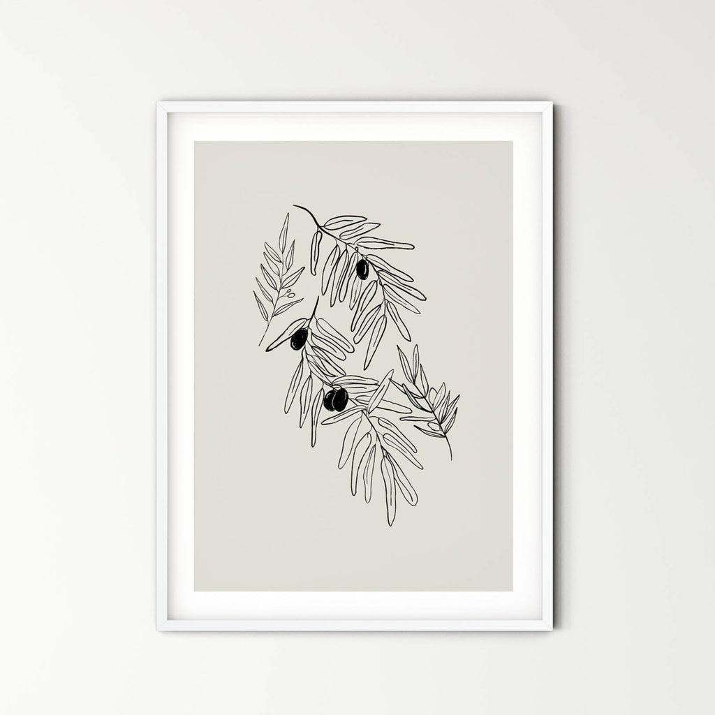 Olive branches - peace and friendship