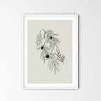 Olive branches - peace and friendship