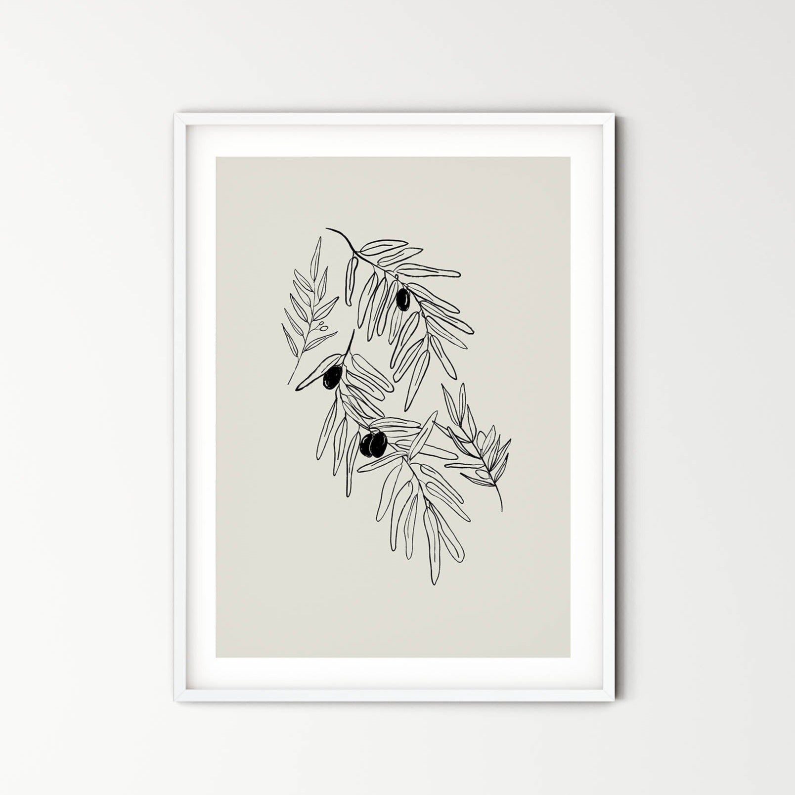 Olive branches - peace and friendship