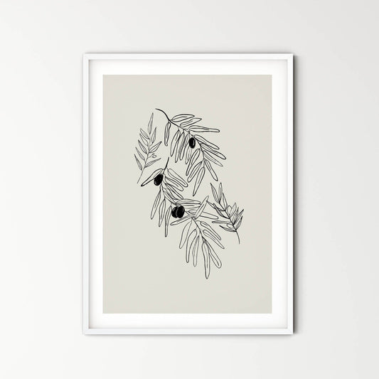 Olive branches - peace and friendship