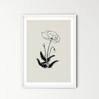Poppy - beauty, magic, humility, fertility