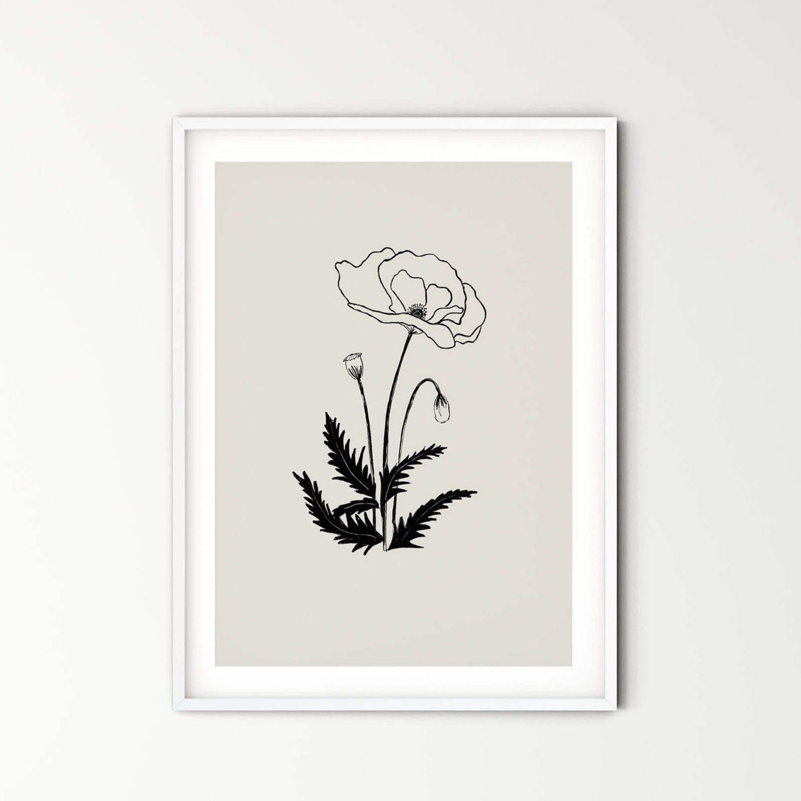 Poppy - beauty, magic, humility, fertility