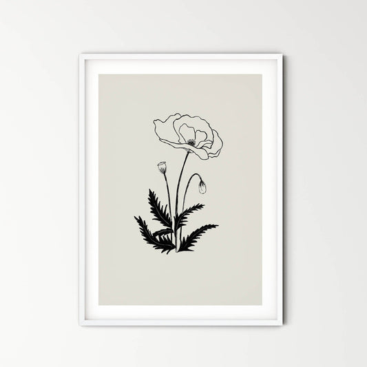 Poppy - beauty, magic, humility, fertility