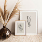 Lavanda - purity, serenity, grace and calmness