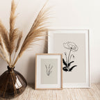 Poppy - beauty, magic, humility, fertility